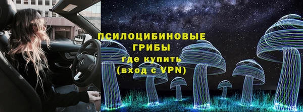 трава Алзамай