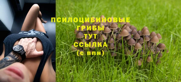 дурь Алексеевка